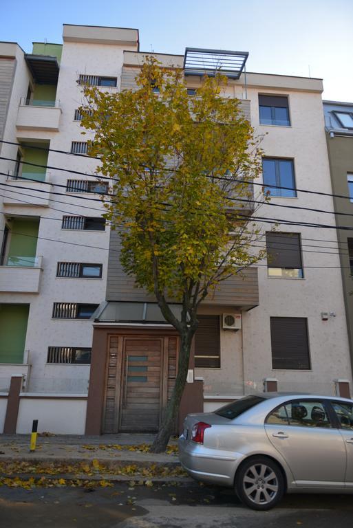 Studio Apartment Picasso بلغراد الغرفة الصورة